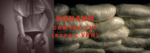 метадон Каменка