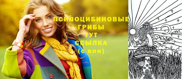 соль курить ск Алзамай