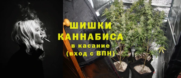 apvp Каменногорск