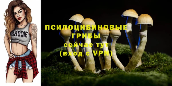 MDMA Алексеевка
